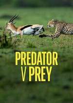 Watch Predator v Prey Gomovies