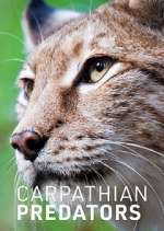 Watch Carpathian Predators Gomovies