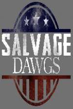 Watch Salvage Dawgs Gomovies