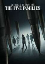 Watch American Godfathers: The Five Families Gomovies