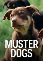 Watch Muster Dogs Gomovies