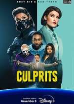 Watch Culprits Gomovies