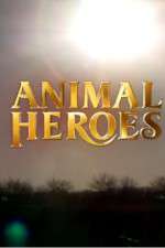 Watch Animal Heroes Gomovies