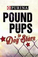 Watch Purina Pound Pups To Dog Stars Gomovies