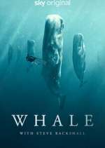 Watch Whale with Steve Backshall Gomovies