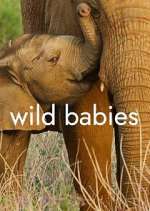 Watch Wild Babies Gomovies