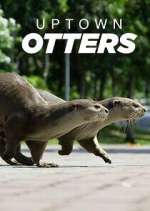 Watch Uptown Otters Gomovies