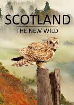 Watch Scotland - The New Wild Gomovies