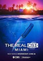 Watch The Real CSI: Miami Gomovies
