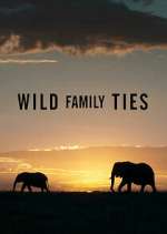 Watch Wild Family Ties Gomovies