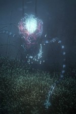 Watch Into the Universe with Stephen Hawking Gomovies