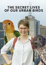 Watch The Secret Lives of Our Urban Birds Gomovies