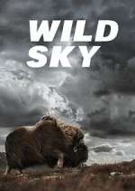 Watch Wild Sky Gomovies