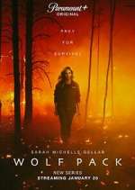 Watch Wolf Pack Gomovies