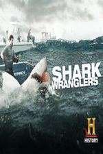 Watch Shark Wranglers Gomovies