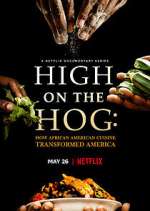 Watch High on the Hog: How African American Cuisine Transformed America Gomovies
