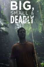 Watch Big, Small & Deadly Gomovies