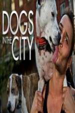 Watch Dogs in the City Gomovies