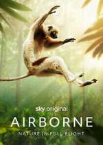 Watch Airborne Gomovies