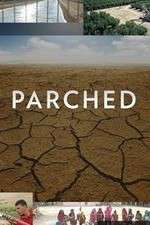 Watch Parched Gomovies