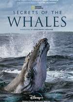 Watch Secrets of the Whales Gomovies