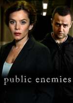 Watch Public Enemies Gomovies