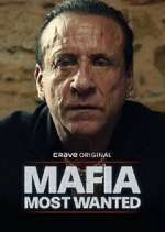 Watch Mafia: Most Wanted Gomovies