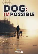 Watch Dog: Impossible Gomovies