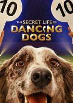 Watch The Secret Life of Dancing Dogs Gomovies