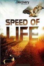 Watch Discovery Channel Speed Of Life Gomovies