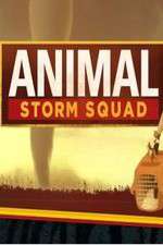 Watch Animal Storm Squad Gomovies