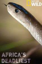 Watch Africas Deadliest Gomovies