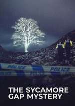 Watch The Sycamore Gap Tree Mystery Gomovies