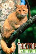 Watch Treetop Cat Rescue Gomovies