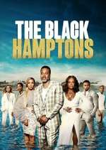 Watch Carl Weber's The Black Hamptons Gomovies