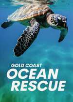 Watch Gold Coast Ocean Rescue Gomovies