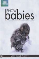 Watch Snow Babies Gomovies
