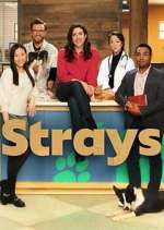 Watch Strays Gomovies