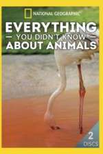 Watch Everything You Didnt Know About Animals Gomovies