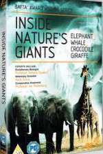 Watch Inside Nature's Giants Gomovies