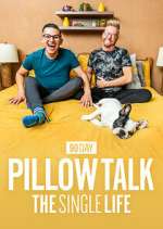 Watch 90 Day Pillow Talk: The Single Life Gomovies