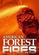Watch American Forest Fires: The Untold Story Gomovies