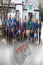 Watch Vets 24/7 Gomovies