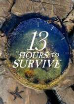 Watch 13 Hours to Survive Gomovies