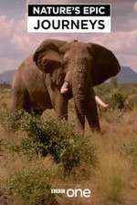 Watch Nature's Epic Journeys Gomovies
