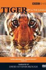 Watch Tiger: Spy in the Jungle Gomovies