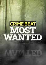 Watch Crime Beat: Most Wanted Gomovies