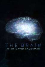Watch The Brain with Dr David Eagleman Gomovies