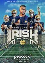 Watch Here Come The Irish Gomovies