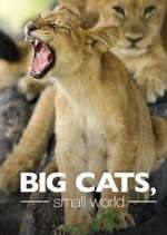 Watch Big Cats, Small World Gomovies
